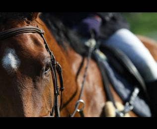 Top 3 Cameras For Enthusiasts - Spring 2022