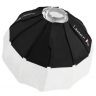 Aputure 66Cm Lantern With Barndoor