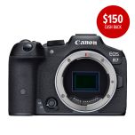 Canon EOS R7 Mirrorless Camera Body