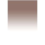 LEE Filters Resin Soft ND Grad Sepia 2 Filter 100mm System