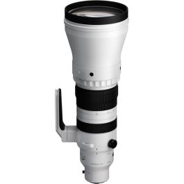 Sigma 300-600mm f/4 DG OS Sports Lens L-Mount CameraPro Australia