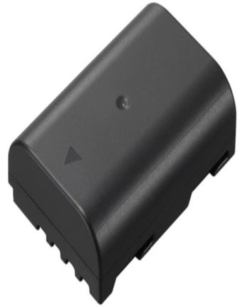 Panasonic BLF19E Battery for GH4, GH5 