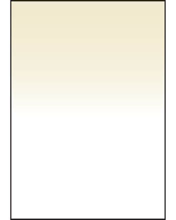 LEE Filters SW150 Hard Edge Graduated 81B Filter