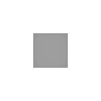 LEE Filters 0.6 ND Resin Filter - 2 Stops - 100mm System