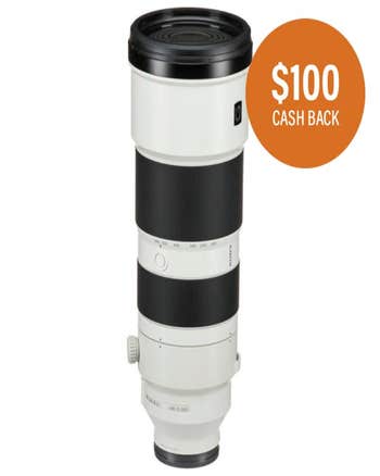 Sony FE 200-600mm f/5.6-6.3 G OSS Lens