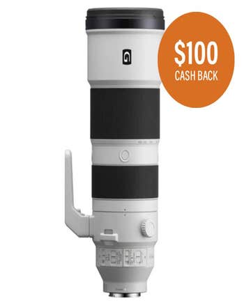 Sony FE 200-600mm f/5.6-6.3 G OSS Lens