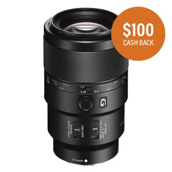 Sony FE 90mm f/2.8 G OSS Macro Lens