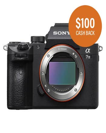 Sony a7III - 24.2 Back-Illuminated Exmor R CMOS Full-Frame Sensor