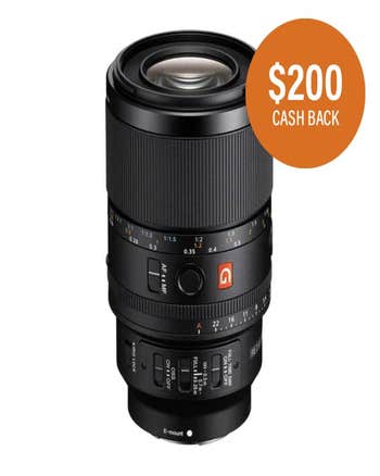 Sony FE 100mm f/2.8 Macro GM OSS Lens