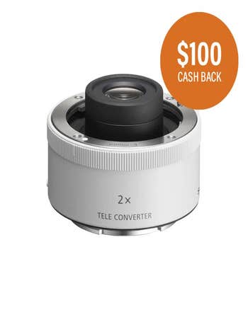 Sony FE 2.0x Teleconverter