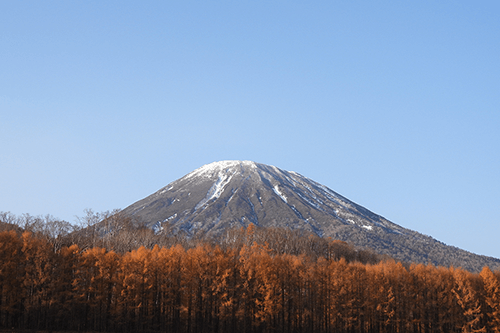 Snow-capped mountain beneath a clear blue sky with autumn trees in the foreground, photographed using the Nikon Coolpix P950 Snow-capped mountain beneath a clear blue sky with autumn trees in the foreground, photographed using the Nikon Coolpix P950