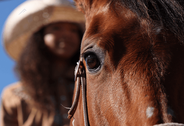 Close-up of eye of brown horse, with its female rider out of focus in the background, photographed with the Canon 90D DSLR