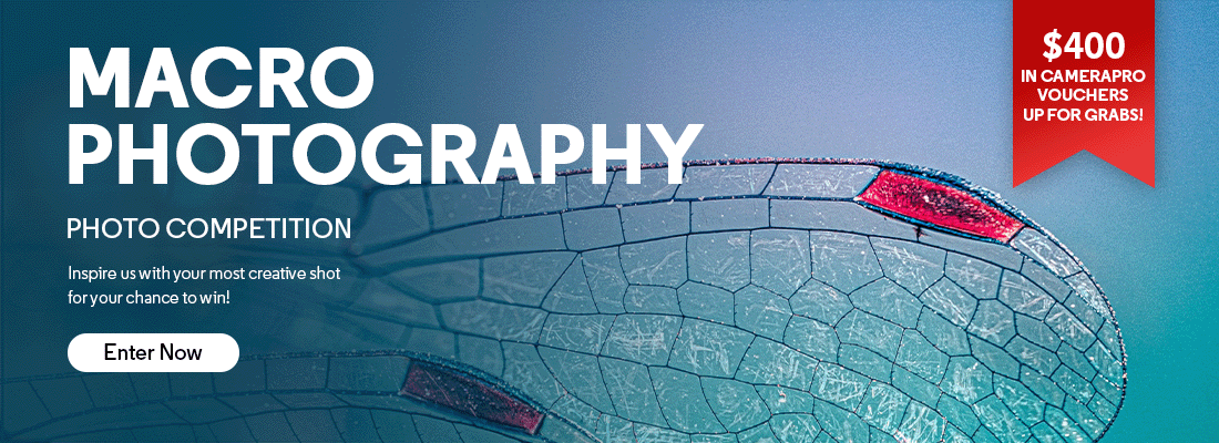 Photo Competition 