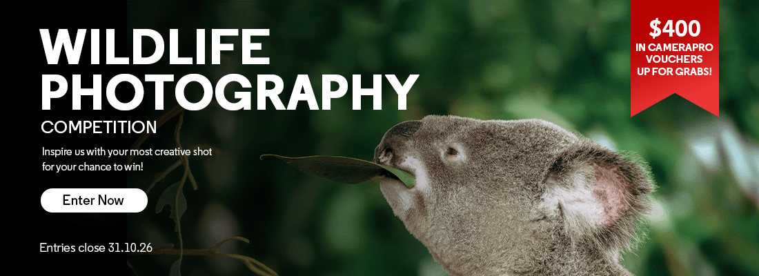 Photo Competition 
