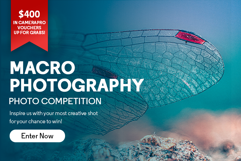 October 2025 CameraPro Photo Competition 
