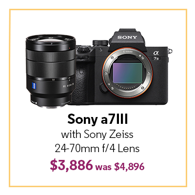 Sony a7III with Sony Zeiss 24-70mm f/4 Lens